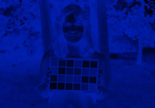 The same frame through the 455 nm band alone: one exposure, blue, the chart's patches reading as densities rather than colours.