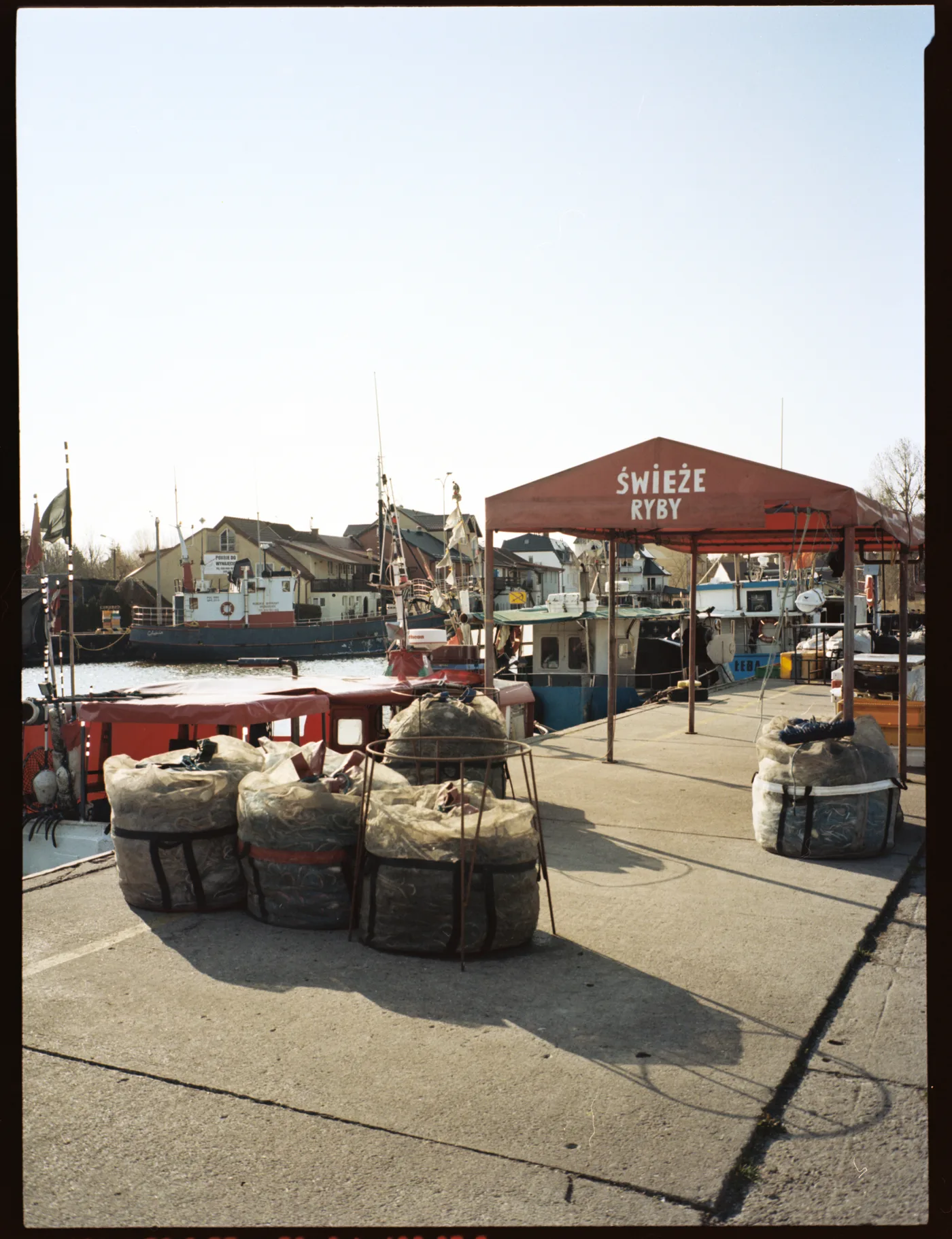 A sunlit harbour quay with sacks of netting and a red stall sign reading ŚWIEŻE RYBY, fishing boats behind.