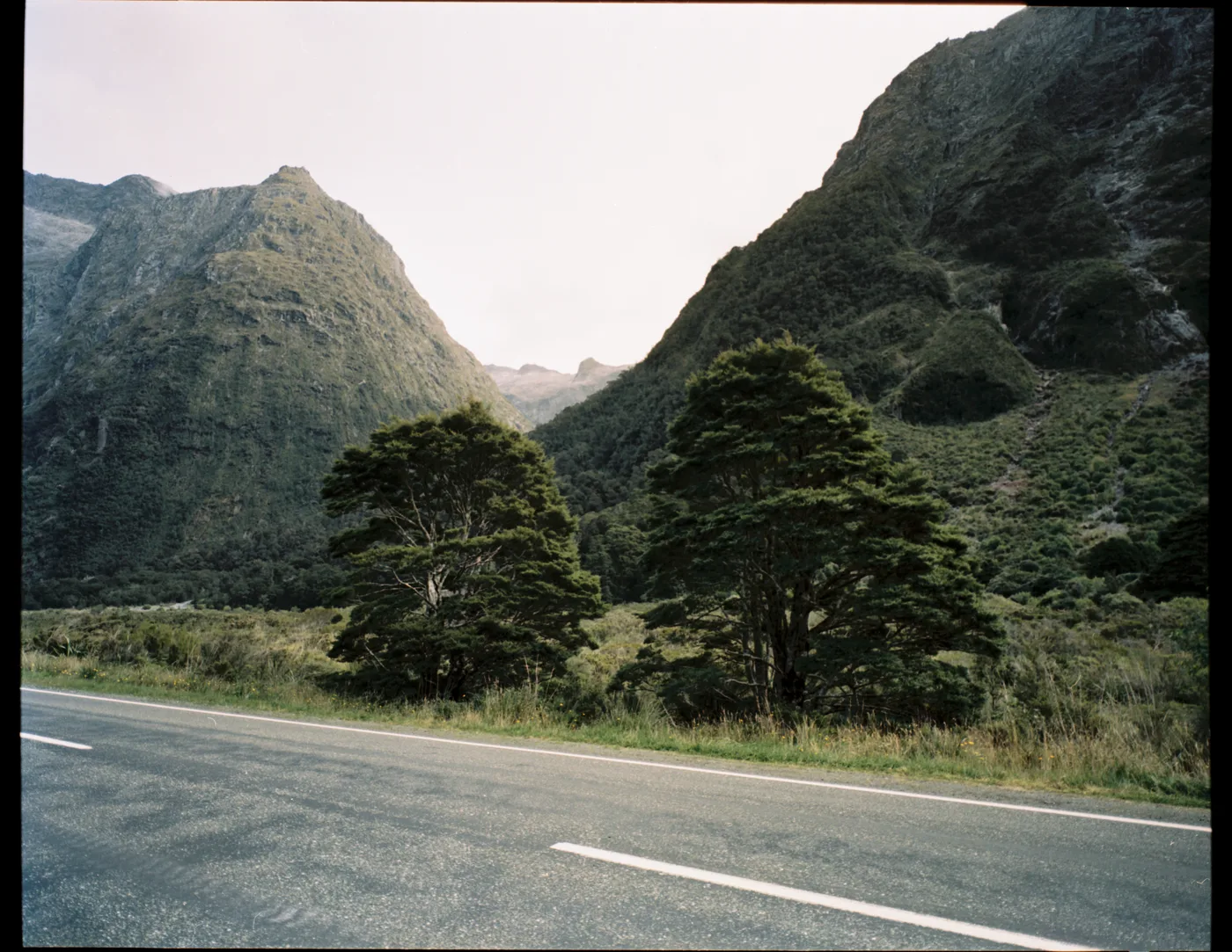 Two dark trees by a roadside beneath steep green mountain slopes.