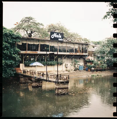A café on stilts over a green pond, a blue-and-white umbrella on its terrace and tall trees overhead.